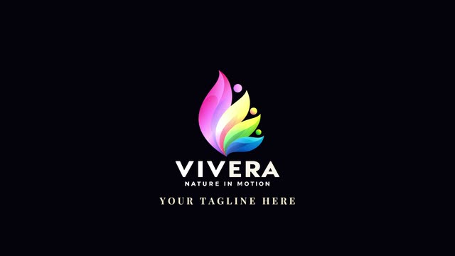 Fireworks logo intro